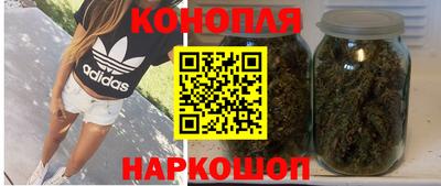 прущие крисы Ачхой-Мартан