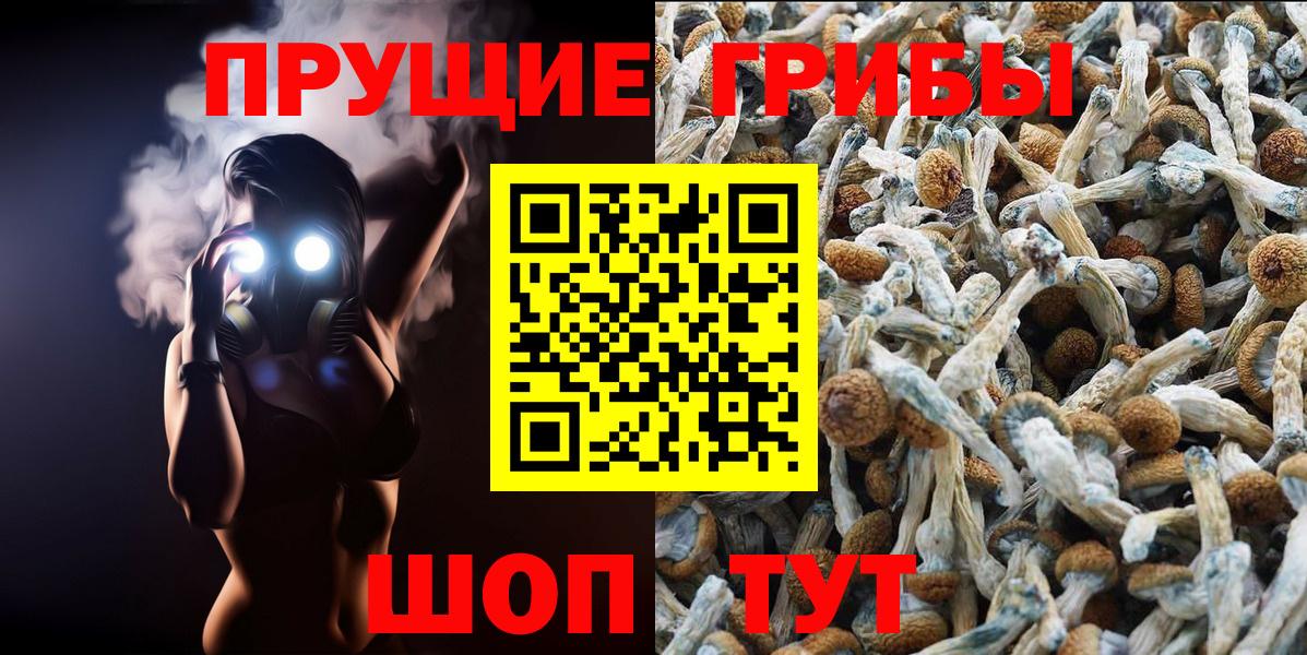 Псилоцибиновые грибы Cubensis  Вход с VPN  Артём 